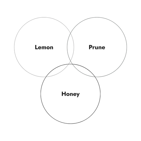 Finca Soledad Typica Wave Fermented Honey 